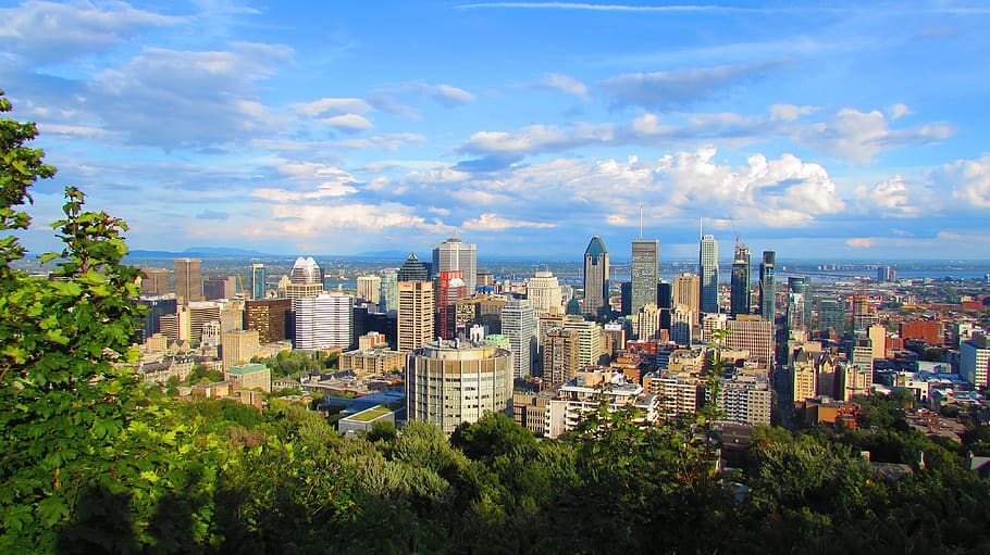 Regional Spotlight: Exploring Canada's Unique Real Estate Markets